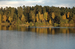 Озеро Ломпадь в Людиновском районе