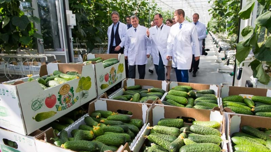Министр сельского хозяйства РФ Ткачев осмотрел «Агро-Инвест»
