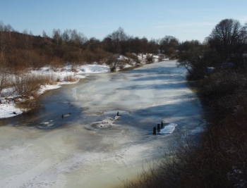 Река Болва зимой