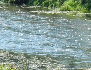 Река Болва