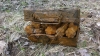 Крупный склад боеприпасов найден в людиновских лесах